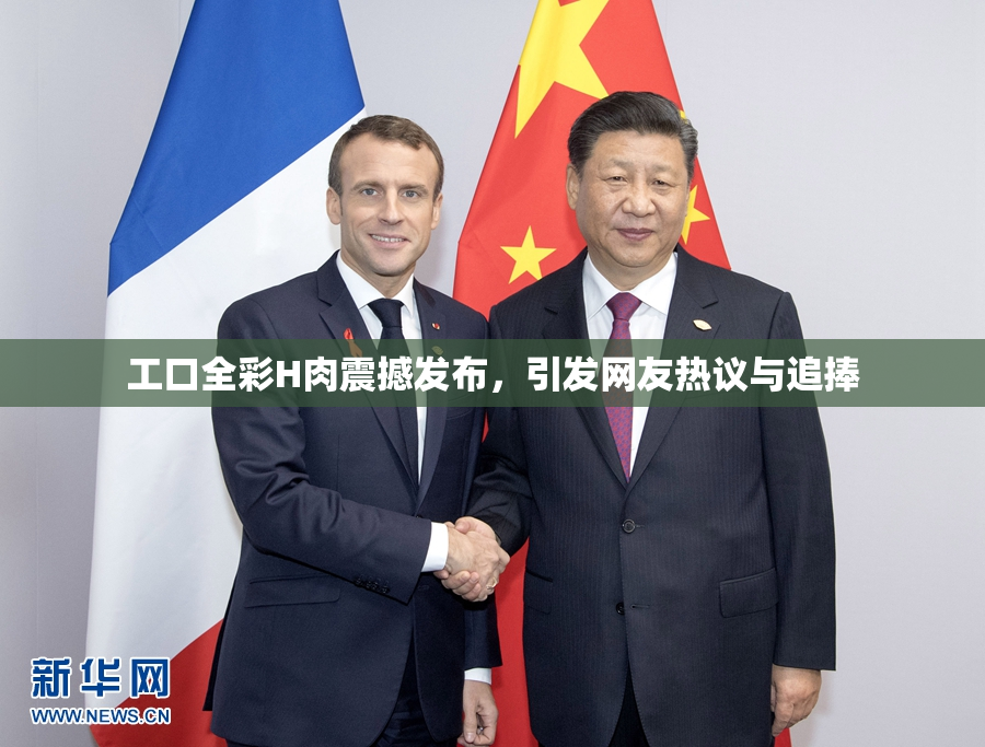 工口全彩H肉震撼发布，引发网友热议与追捧