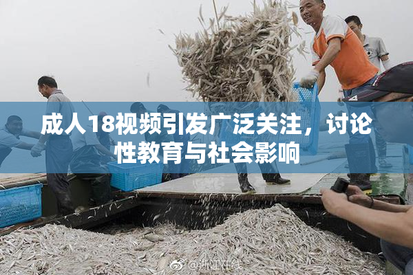 成人18视频引发广泛关注，讨论性教育与社会影响