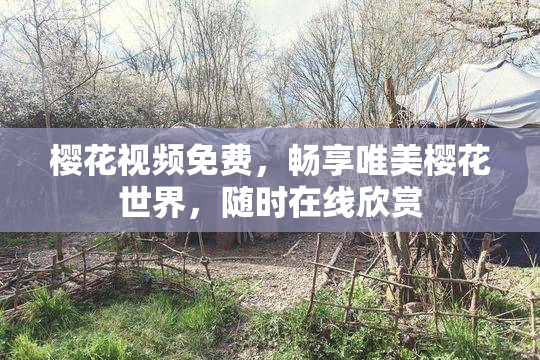 樱花视频免费，畅享唯美樱花世界，随时在线欣赏