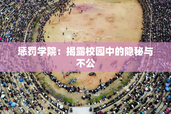 惩罚学院：揭露校园中的隐秘与不公