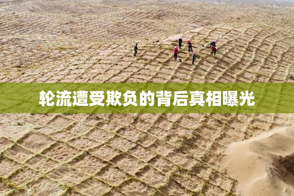 轮流遭受欺负的背后真相曝光