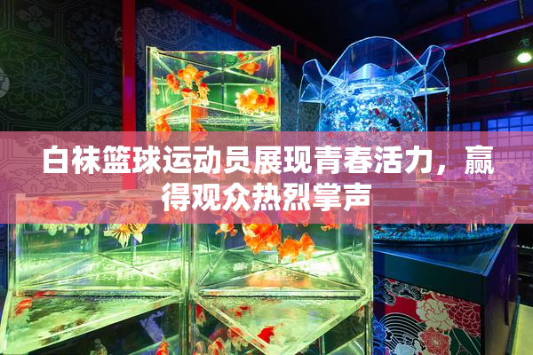 白袜篮球运动员展现青春活力，赢得观众热烈掌声