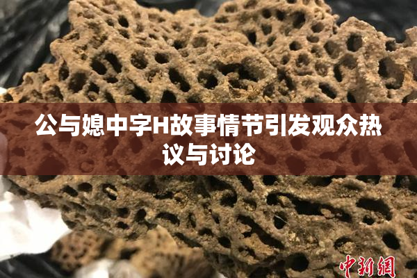 公与媳中字H故事情节引发观众热议与讨论