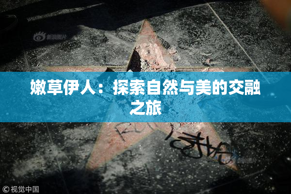 嫩草伊人：探索自然与美的交融之旅