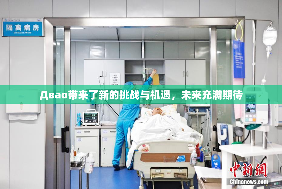 Двао带来了新的挑战与机遇，未来充满期待