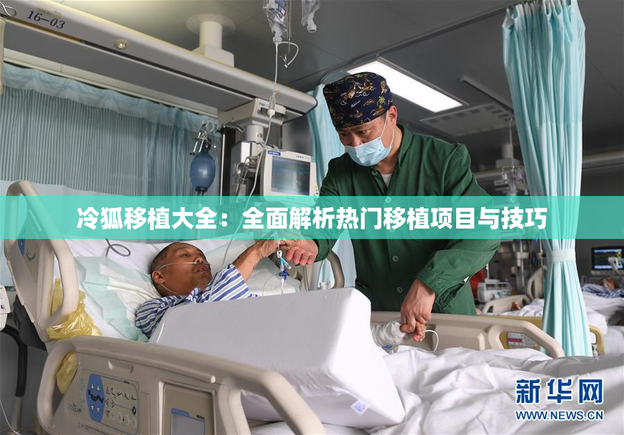 冷狐移植大全：全面解析热门移植项目与技巧