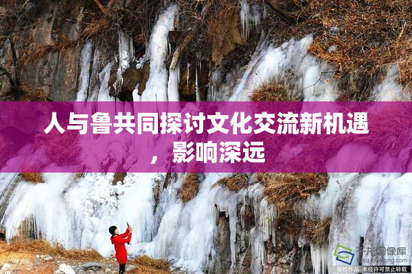 人与鲁共同探讨文化交流新机遇，影响深远