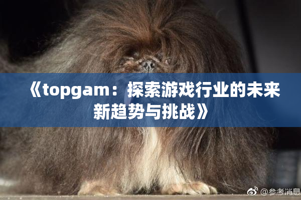 《topgam：探索游戏行业的未来新趋势与挑战》