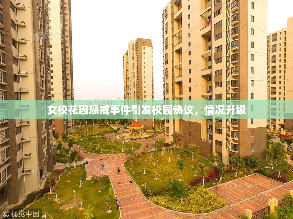 女校花因惩戒事件引发校园热议，情况升级