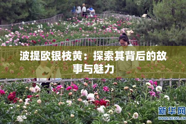 波提欧银枝黄：探索其背后的故事与魅力
