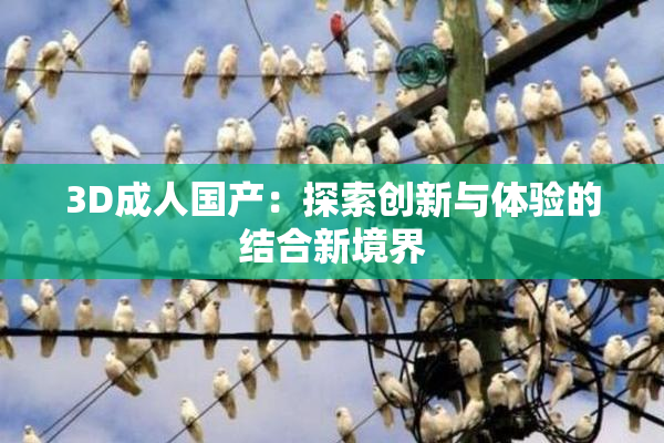 3D成人国产：探索创新与体验的结合新境界