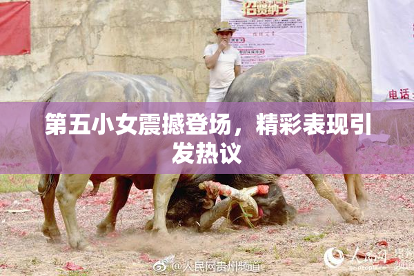 第五小女震撼登场，精彩表现引发热议