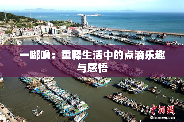 一嘟噜：重释生活中的点滴乐趣与感悟
