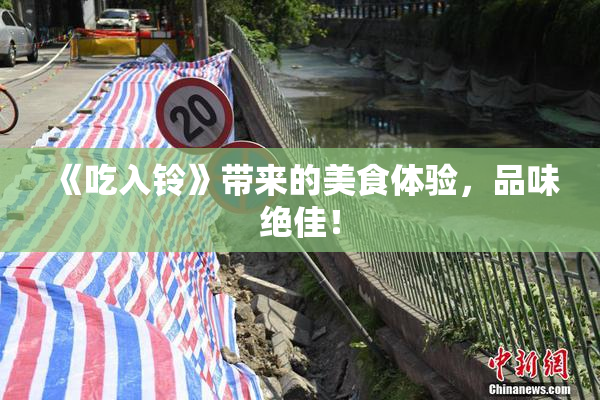 《吃入铃》带来的美食体验，品味绝佳！