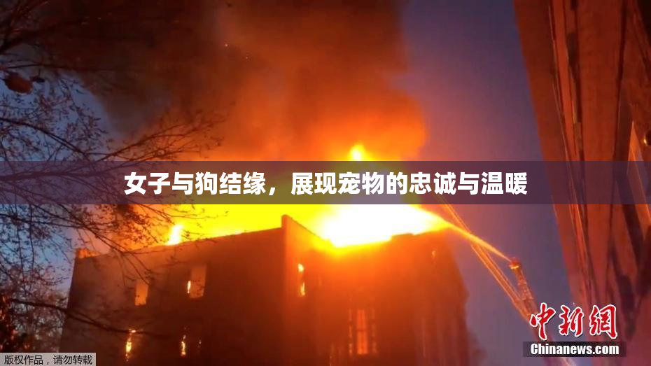 女子与狗结缘，展现宠物的忠诚与温暖