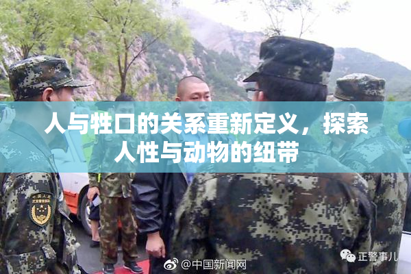 人与牲口的关系重新定义，探索人性与动物的纽带