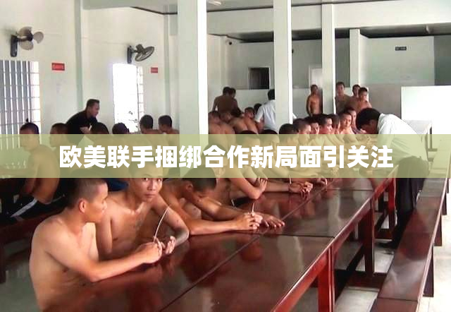 欧美联手捆绑合作新局面引关注