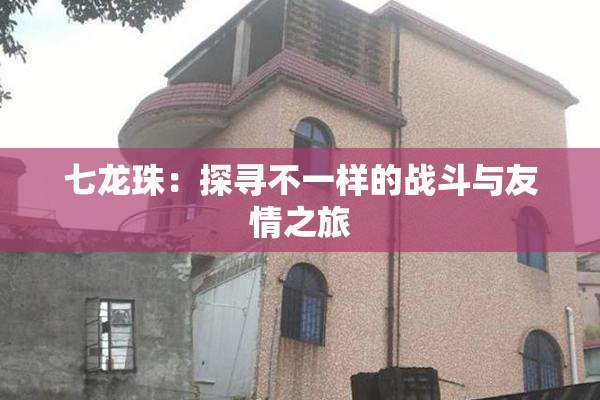 七龙珠：探寻不一样的战斗与友情之旅
