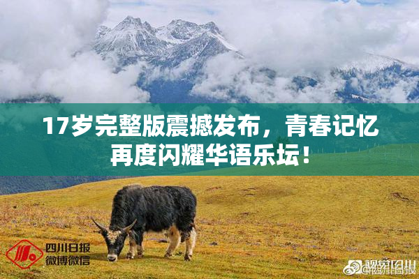 17岁完整版震撼发布，青春记忆再度闪耀华语乐坛！