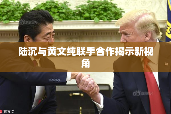 陆沉与黄文纯联手合作揭示新视角