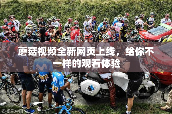 蘑菇视频全新网页上线，给你不一样的观看体验