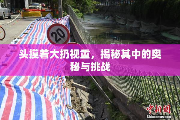 头摸着大扔视重，揭秘其中的奥秘与挑战