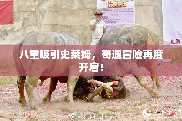 八重吸引史莱姆，奇遇冒险再度开启！