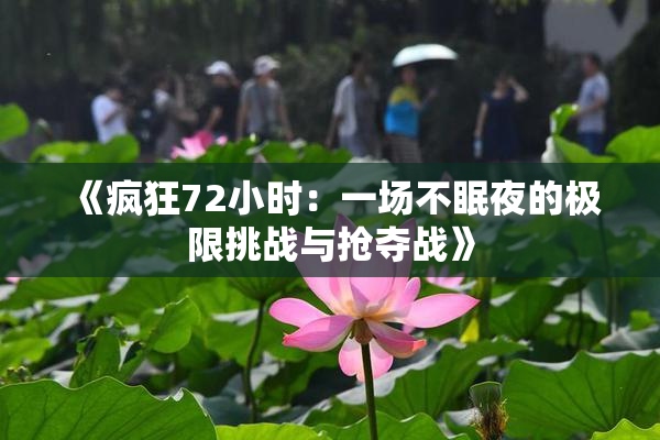 《疯狂72小时：一场不眠夜的极限挑战与抢夺战》