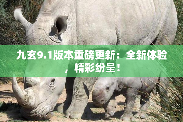 九玄9.1版本重磅更新：全新体验，精彩纷呈！