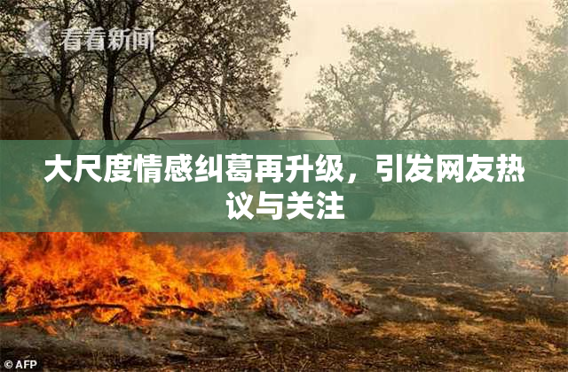 大尺度情感纠葛再升级，引发网友热议与关注