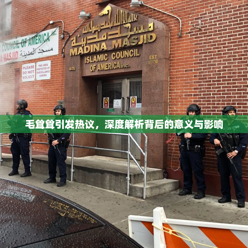 毛耸耸引发热议，深度解析背后的意义与影响