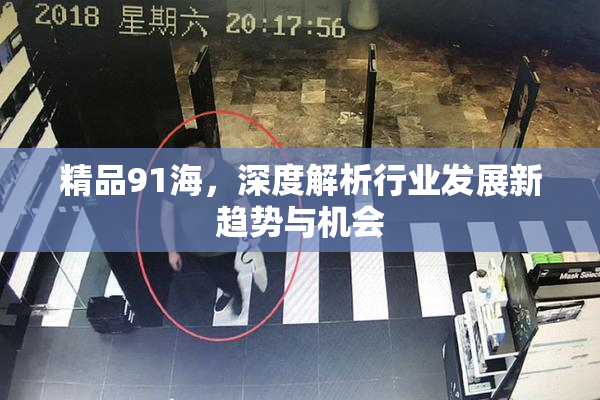 精品91海，深度解析行业发展新趋势与机会