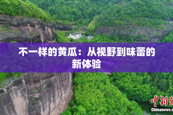 不一样的黄瓜：从视野到味蕾的新体验