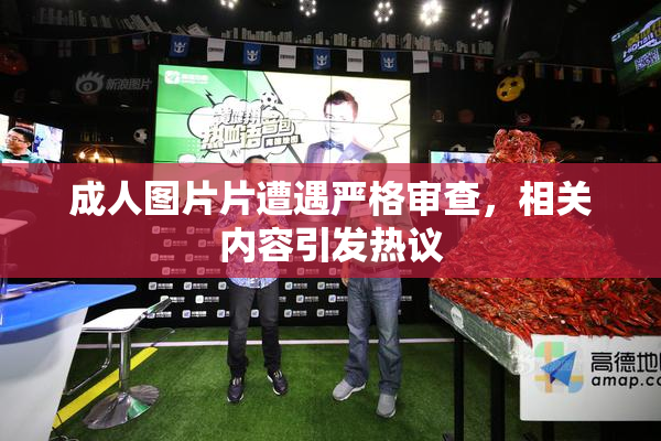 成人图片片遭遇严格审查，相关内容引发热议