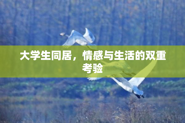 大学生同居，情感与生活的双重考验