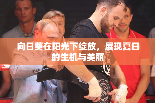 向日葵在阳光下绽放，展现夏日的生机与美丽