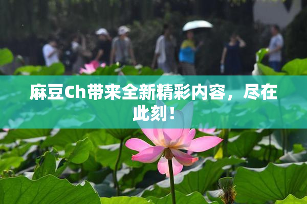 麻豆Ch带来全新精彩内容，尽在此刻！