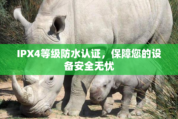 IPX4等级防水认证，保障您的设备安全无忧