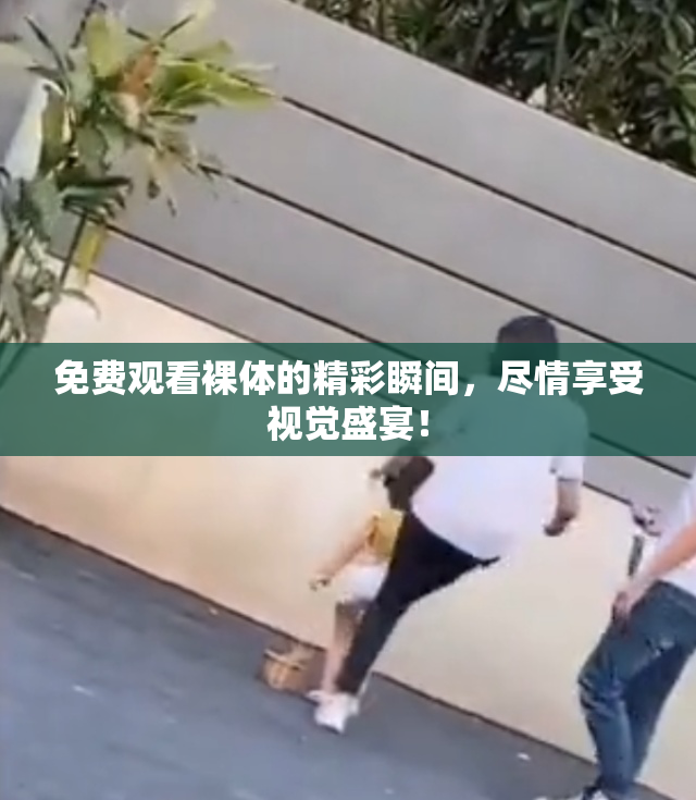 免费观看裸体的精彩瞬间，尽情享受视觉盛宴！