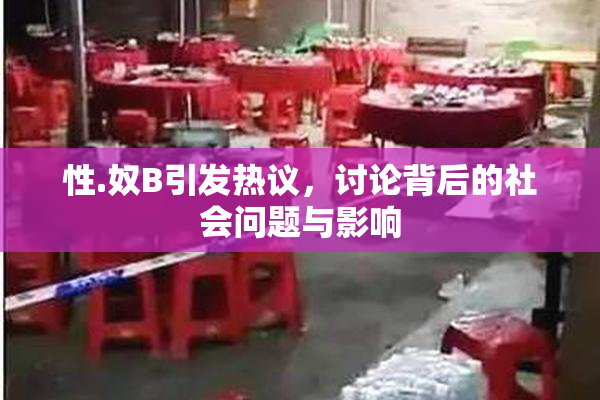 性.奴B引发热议，讨论背后的社会问题与影响