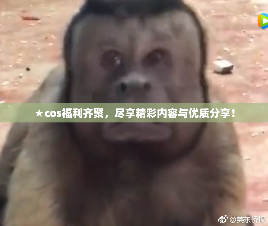 ★cos福利齐聚，尽享精彩内容与优质分享！