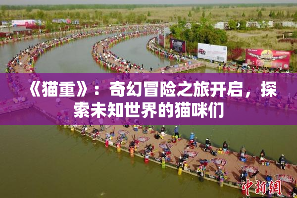《猫重》：奇幻冒险之旅开启，探索未知世界的猫咪们