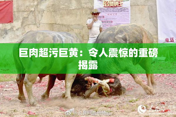 巨肉超污巨黄：令人震惊的重磅揭露