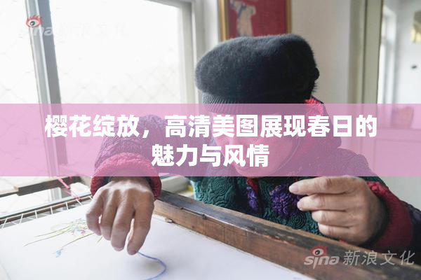樱花绽放，高清美图展现春日的魅力与风情