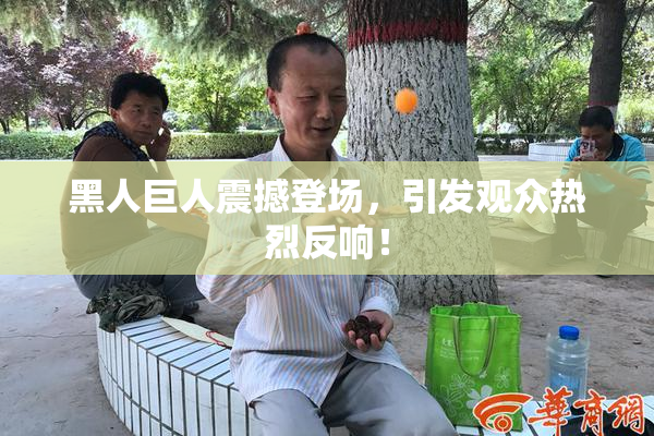 黑人巨人震撼登场，引发观众热烈反响！