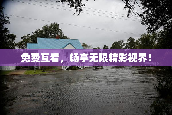 免费互看，畅享无限精彩视界！