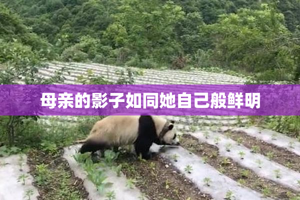 母亲的影子如同她自己般鲜明