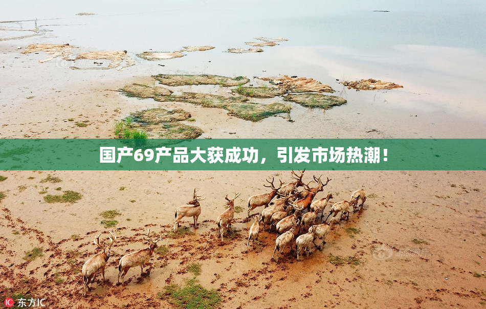 国产69产品大获成功，引发市场热潮！
