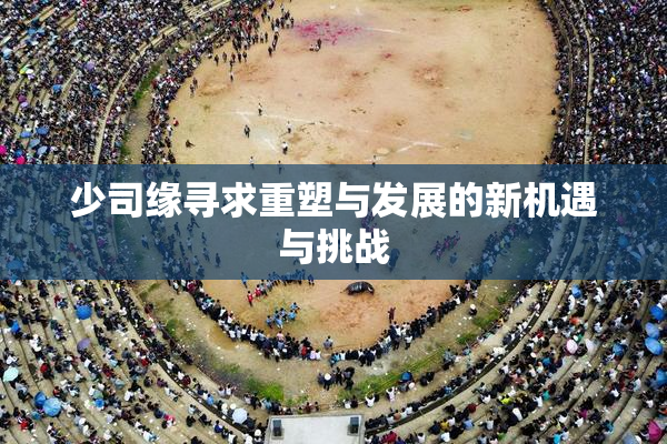 少司缘寻求重塑与发展的新机遇与挑战