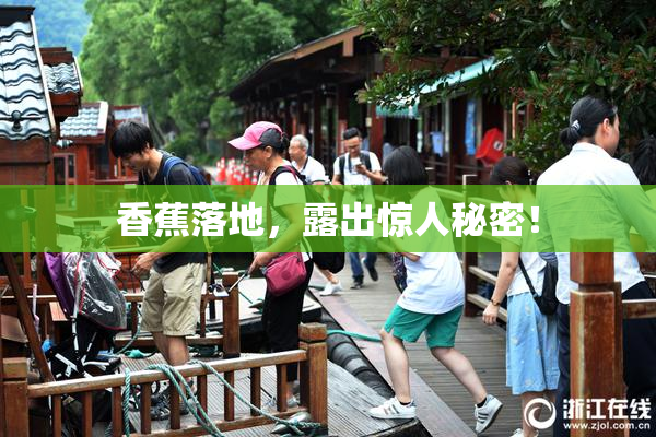 香蕉落地，露出惊人秘密！